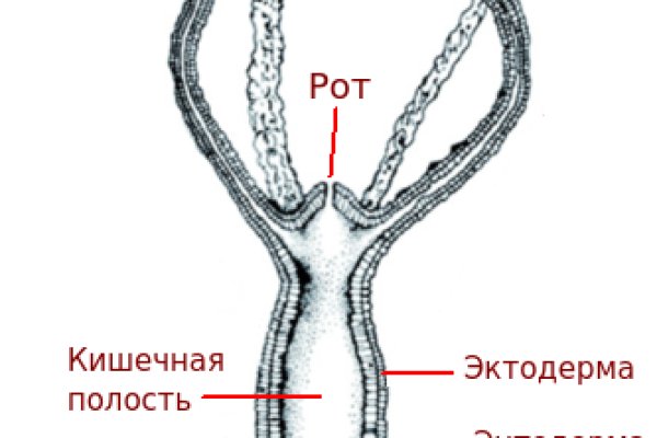 Kraken tor зеркало