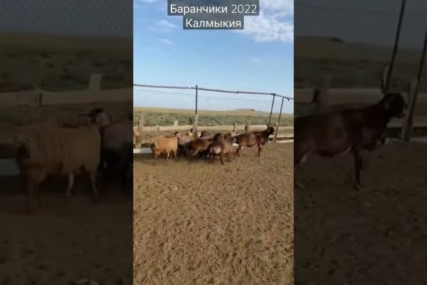 Кракен доставка оренбург