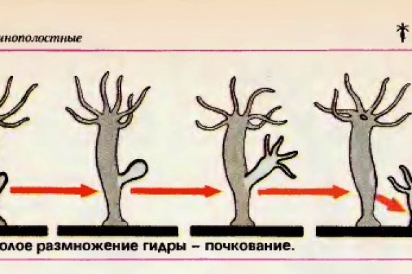 Сайт кракен 24