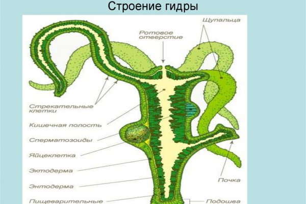 Кракен зеркало krakenat2krnkrnk com